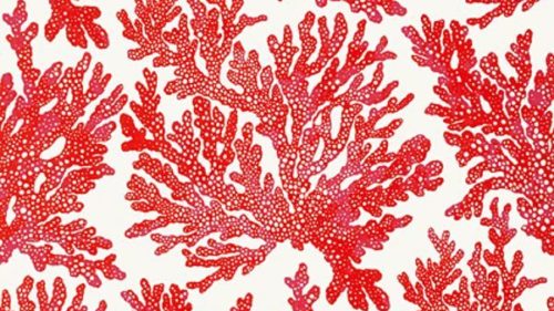 MARINE CORAL T10120